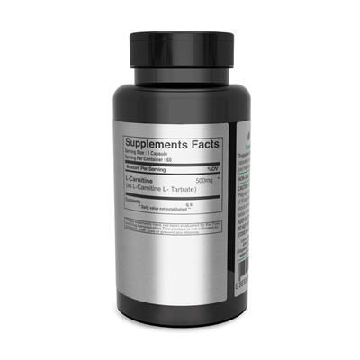 l carnitine 500 mg sfr